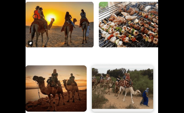 Barbecue Camel