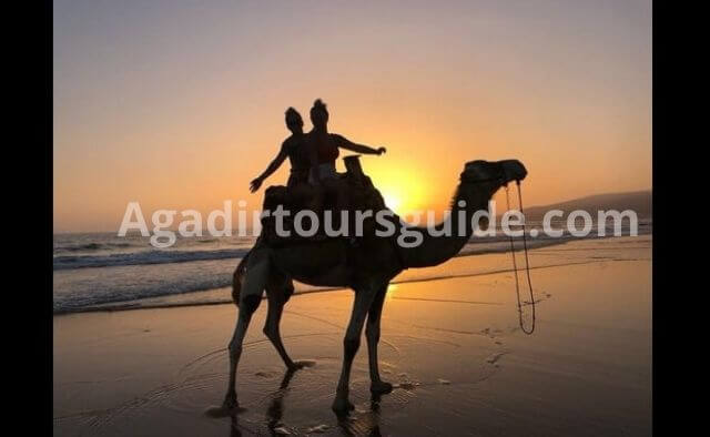 Sunset Camel
